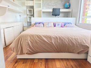 Recoleta Excelente Vista