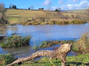 Cornflour Cozy Cabin Retreat