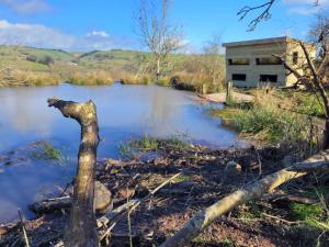 Cornflour Cozy Cabin Retreat