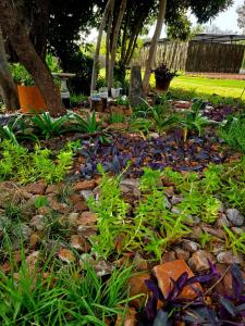 El-Tsuri Guest Resort