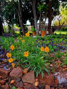 El-Tsuri Guest Resort