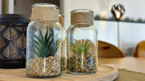 Ferienwohnung Goslar - Georgenberg Entspannen im Harz Mittendrin