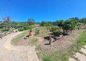 La Rouillère 2 - Authenticité Maison 4 pers en bord de ruisseau au cœur des vignes