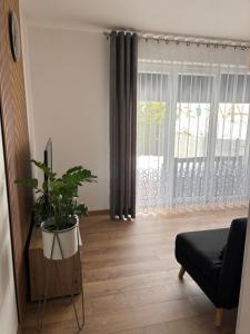 Słoneczna kawalerka - studio