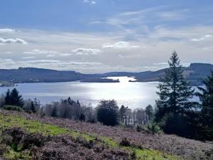 Charmant logement au bord du lac
