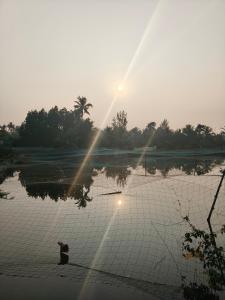 Lotus Munroe Homestay