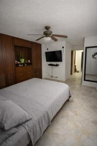 Confort Urbano con Piscina