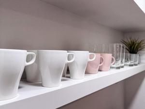 Florida vibe suite near Epic Universe & Universal