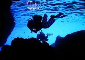 Villa Monte Calvia img42