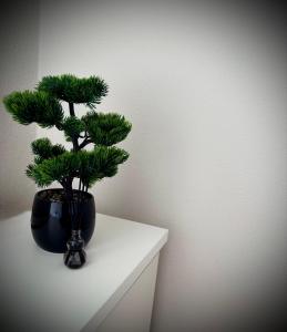 Apartament SLEEP&GO Ostrowiec Świętokrzyski