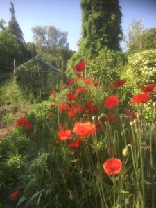Vejlø Skole - Degnegaarden