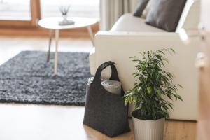 Ferienwohnung-Stille-in-Suedtirol-Aviunshof-nature-design-apartment