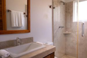 Tortugas tres cero dos