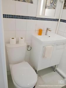 Eiffel Tower Magnificent Paris