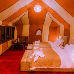 Luxury Desert Central Camp