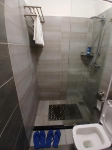 Serene homes studio apartment syokimau