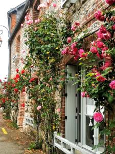 La rosée - Studio à 200m de la mer - Veules-les-Roses