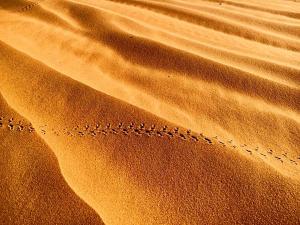 Karawanserail Khamlia