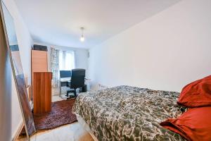 Cosy Apartment near Wembley Stadium