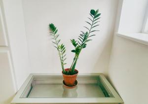 Spacious & Luxury 2BR Flat in Calverton