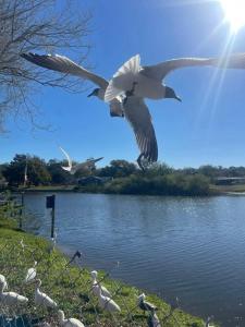 Private Tropical Waterfront Sanctuary w pool, hot tub & an island! Pet Friendly