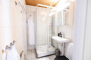 King Bed Smart TV Coffee WiFi Sofa Bed