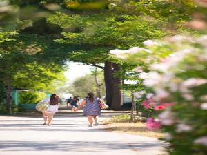Cozy mobile home in Cesenatico