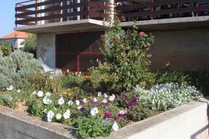 Studio Nevidjane 8401a