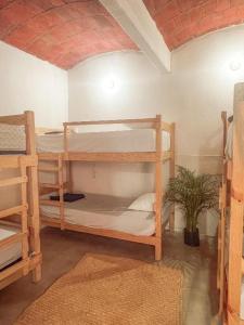 Hostel Casa Maguey
