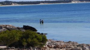 Gone Fishing -Amongst Trees, Close To Beach