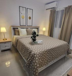 THE PARADISE of HOUSES and VACATIONS