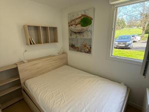 Appartement avec WIFI et Animaux Acceptés, Proche des Thermes à La Roche-Posay - FR-1-541-113