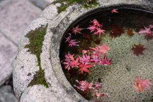 Guesthouse-Hana・Tale Villa