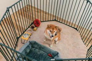 藤乃宿 Villa Moere モエレ沼公園すぐ 愛犬と一緒に泊まれる新築1棟貸し