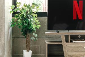 Fabulous and Spacious 2 level LOFT