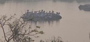 Villa De Aqua Elite - Muttukadu Lake ECR