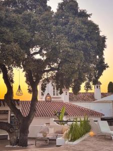 B&B Casa Luz del Sur, adults only