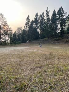 Elves Homestay