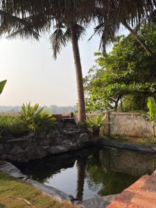 Artjuna Cabanas - CoLiving Community in Anjuna