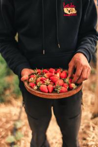 Touda Ecolodge Atlas Mountains