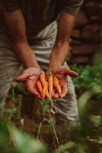 Touda Ecolodge Atlas Mountains