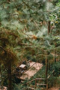 U Lesa Retreat - Nhà Bên Rừng