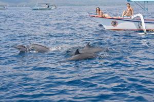 Kubu Pertiwi Pemuteran