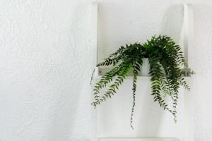 Central T2 Cannes Suquet - terrasse - WIFI - Clim