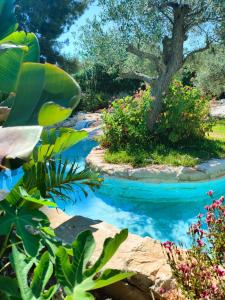 Oasi conca doro glamping