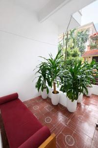 Davidduc Villa 30 Tay Ho