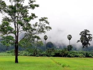 เจอาร์รีสอร์ท ที่พักบ้านมุงเนินมะปราง