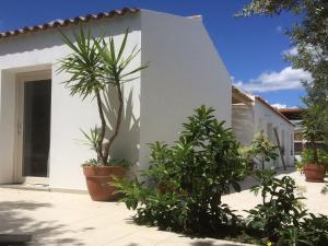 MURISKA - Sa Petra Ruja