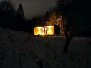 Модрина Космач