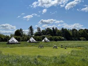 Walltree House Glamping - Glamping experience